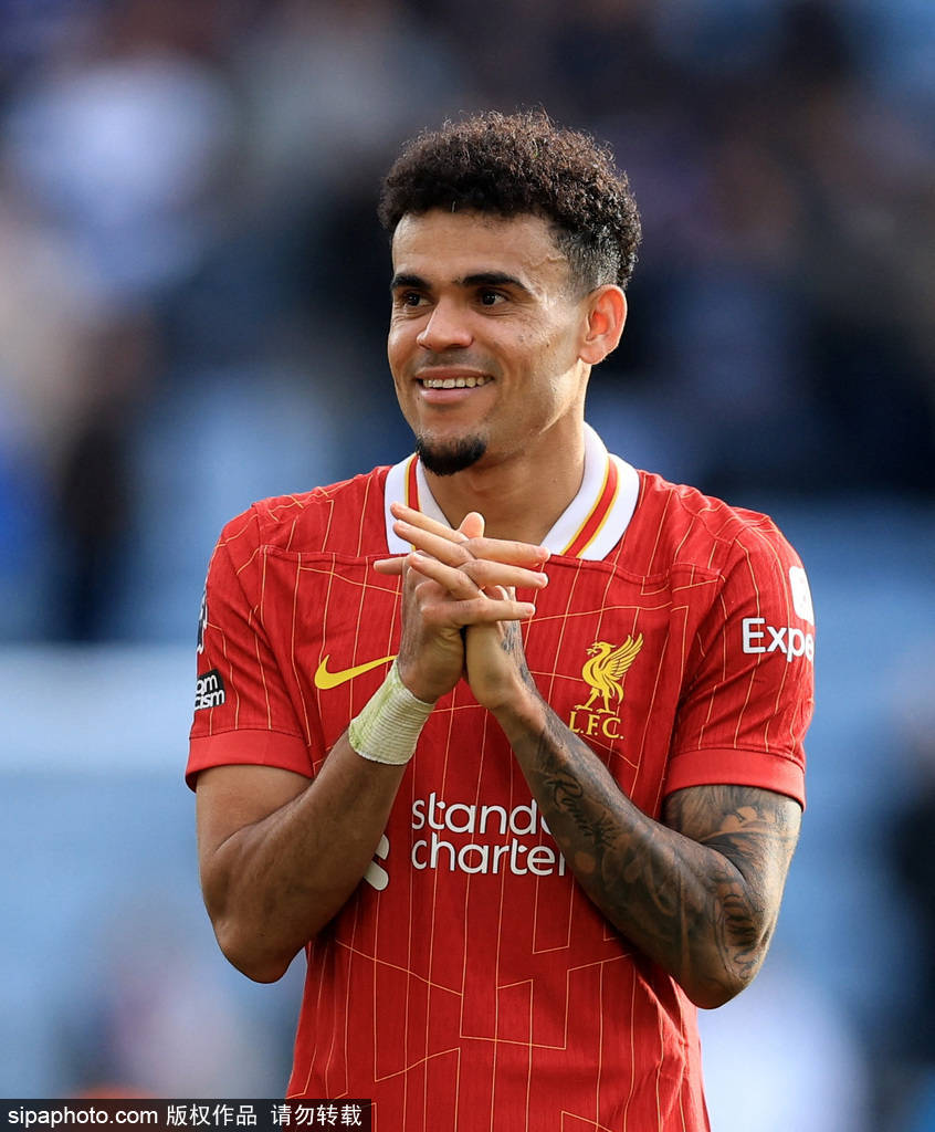 不仅反映了 不仅反映了